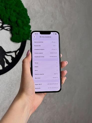 ipon: IPhone 13
128gb | 81%
Адрес:Каралок Токтогула 261 — 4