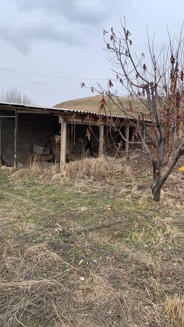 участок сатылат сокулук: 🔥 ПРОДАЁТСЯ🔥 Кашара+дом с плодоносным садом Участок 1,40га в селе — 6