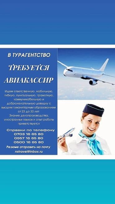 Требуется авиакассир/ турменеджер в туристическое агентство.Нужна