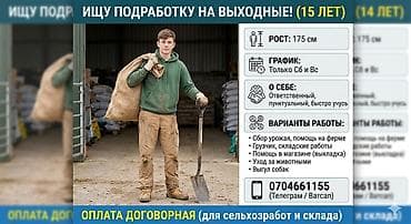 подработка на завтра: Грузчик. Без опыта — 1