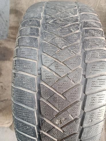 rf1 rf2: Шины 205 / 50 / R 16, Зима, Б/у, 1 шт, Легковые, Dunlop — 1