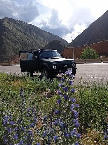 нива мос: ВАЗ (ЛАДА) 4x4 Нива: 1999 г., 1.9 л, Механика, Дизель, Внедорожник — 5