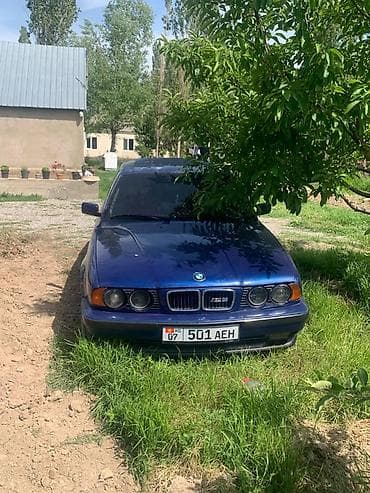 евро цеп: BMW 5 series: 1990 г., 2.5 л, Механика, Бензин, Седан — 2