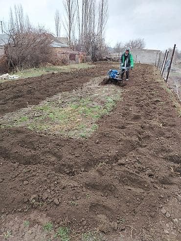 Услуги механизированной обработки огородов мотоблоком. Огород казып