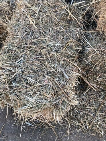 ящик для овощи: Сено в тюках - Прессованные прямоугольные тюки из луговых трав - — 1