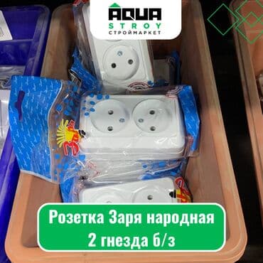 аксессуары для серверных шкафов zpas: Розетка Заря народная 2 гнезда б/з Для строймаркета "Aqua Stroy" — 1
