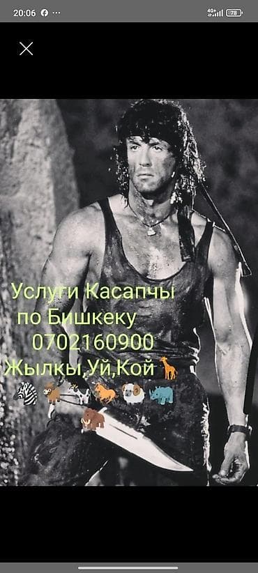 эвтаназия бишкек: Услуги касапчы в Бишкеке. Предоставляются услуги по разделке мяса — 1