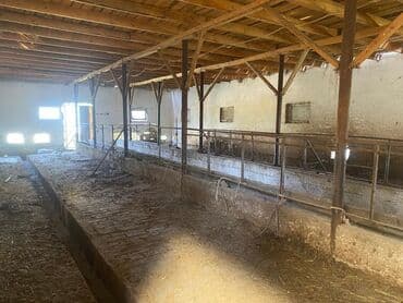 сдаю дом без хозяин: Сдается помещение 1500тыс КВ м имеются 3 сарая 1навес 1конюшня — 7