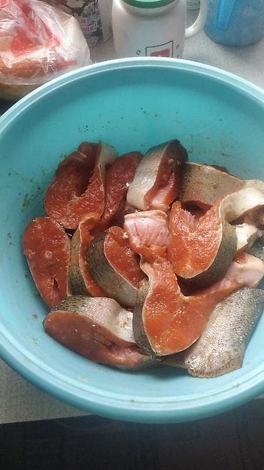 продаю мясо кролика: Свежовыловленая рыба (Радужная форель ) по 530 сом оптом вес от 1кг — 6