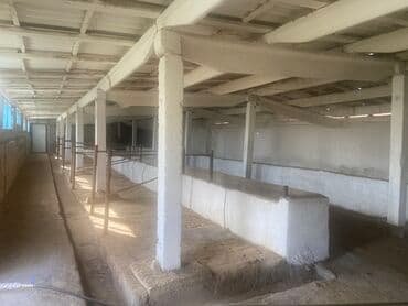 Үйдү ижарага алам: Үй, 80 кв. м, 3 бөлмө, Менчик ээси, Косметикалык оңдоо — 2