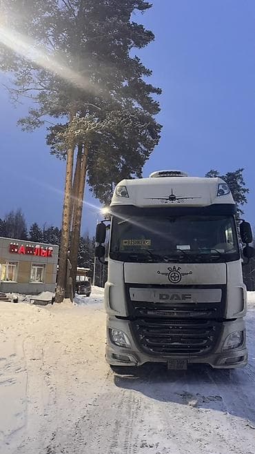 бортовой спринтер дубль кабина: Тягач, DAF, 2016 г., Тентованный — 3