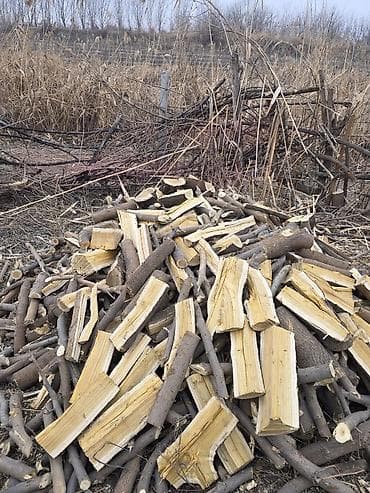 Садовая мебель: Дрова Платная доставка — 3