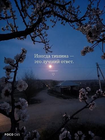 нил гейман: Постер/фотопечать с цитатой - Изображение: вечерний пейзаж с лунным — 1