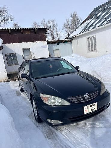 тойота камри 1997: Toyota Camry: 2003 г., 3 л, Автомат, Газ, Седан — 1