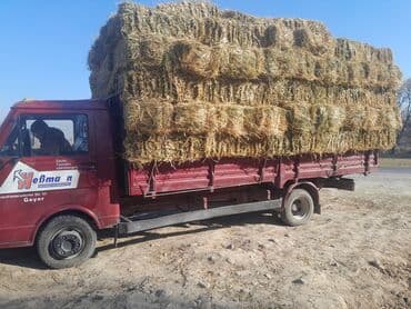 продажа кормов для сельскохозяйственных животных: Чоп сатылат беде 2 кос тюк плотный 450 сом — 2