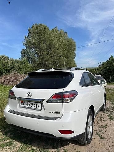 space runner: Lexus RX: 2013 г., Кроссовер — 7