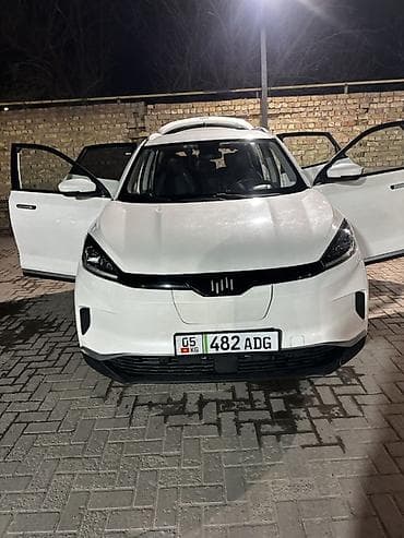 электро грузовой муравей: Weltmeister EX5, 2020 г., 260000 км, Передний, В наличии — 7