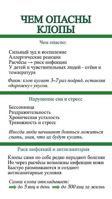 постельные клопы: Дезинфекция, дезинсекция, | Клопы, | Квартиры — 6