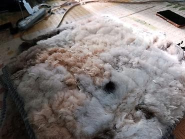 кусок кожи: Ковер Мех — 1