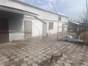 село новопавловка: Срочно продаётся кирпичный дом село Новопавловка по улице Кирова, 6 — 6