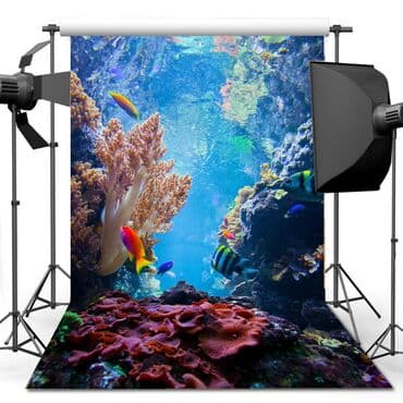 бокс для фотографий: Фоны для студии 150x210см Бишкек (Без стоек) Отличное решение для фото — 13