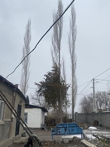 софиты свет: Терек сатылат келишим баа — 2