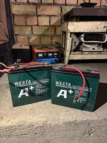 плафоны на спринтер: Аккумуляторы WESTA A+ VRLA AGM 12V 20,5Ah (модель 6-DZF-20.5) — 1