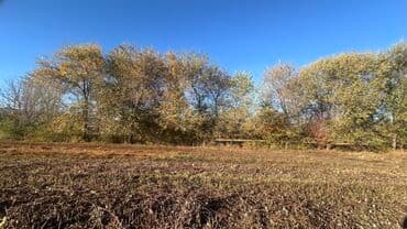 двер бишкек: Отун Карагач — 8