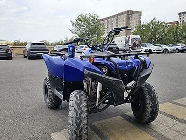 Квадроциклы: Квадроцикл Yamaha, Бензин, 100 куб. см, Взрослый — 1