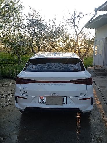 trueno 86: BYD E2: 2021 г., Автомат, Электромобиль, Хэтчбэк — 3