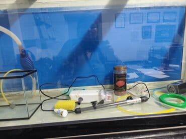 аквариум: Просторный аквариум панорамного типа с чёрной рамой. - Прямоугольная — 7