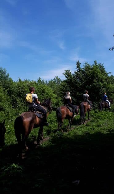 купить дом в бишкеке: Конная прогулка на иссык-куле 🐎 0️⃣5️⃣0️⃣2️⃣3️⃣2️⃣9️⃣4️⃣7️⃣1️⃣☎️ + — 4