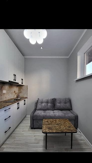 platinum park: 1 комната, 15 м², 106 серия улучшенная, Цокольный этаж этаж, Евроремонт — 1