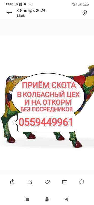 домик для животных: Куплю | Лошади, кони, Коровы, быки, Другие с/х животные — 1