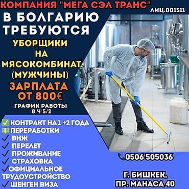 yojik group: Работа - Болгария, Менее года опыта, Мед. страхование — 1