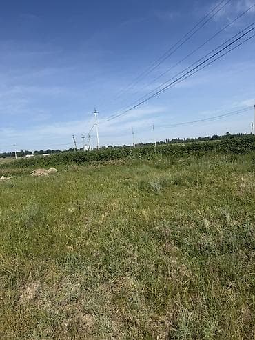 открытый: 15 соток, Для строительства, Красная книга, Договор купли-продажи — 3