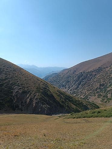 связи с: Уборка территории, Другое — 1