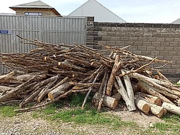 Дрова Тополь