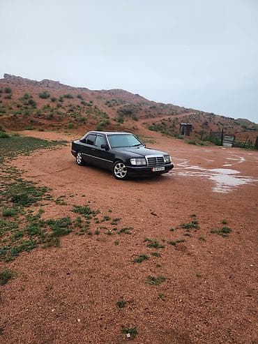 Mercedes-Benz W124: 1992 г., 2.2 л, Механика, Бензин, Седан