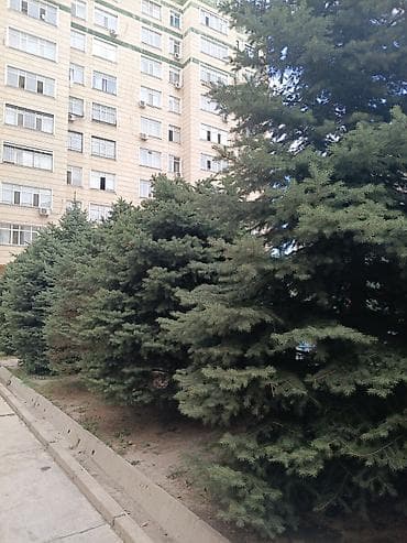 Батирлер: 4 бөлмө, 110 м², Элитка, 7 кабат, Евро оңдоо — 7
