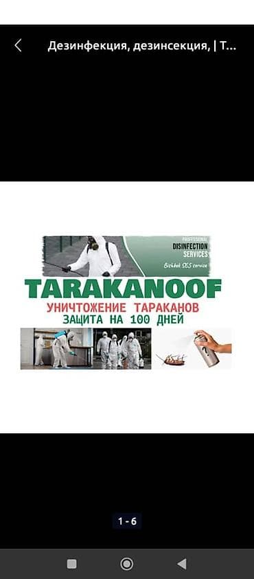 обувь женская 40: Дезинфекция, дезинсекция, | Муравьи, | Квартиры — 7