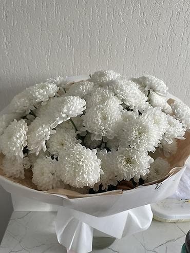 хризантема мультифлора: Куплена за 3000 отдам за 2000 Букет из белых кустовых хризантем - — 1