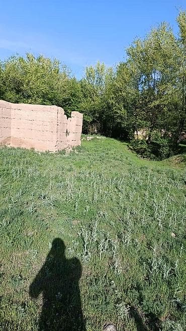 Недвижимость: 15 соток, Для сельского хозяйства — 2