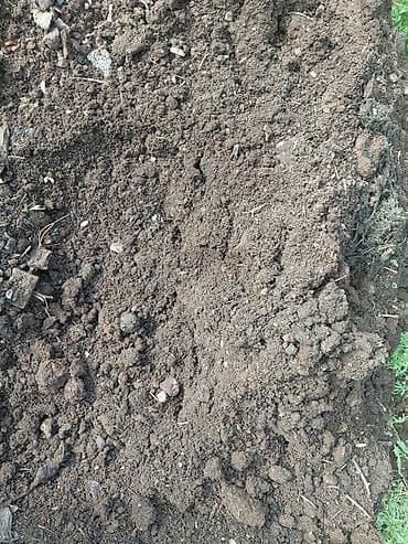 амофос удобрения: Перепревший навоз/компост из хозяйства - Натуральное органическое — 5