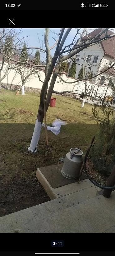 косим траву: Уборка территории, Стрижка газона — 4