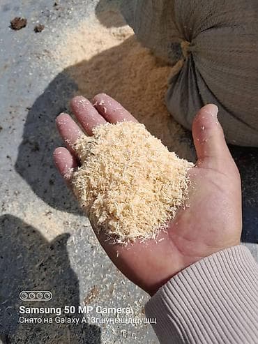 опилка: ОПИЛКА СТРУЖКА СОСНА КАРАГАЧ ТЕРЕК МДФ ДСП ДВП САТЫЛАТ ТОЛЬКО ОПТОМ — 7