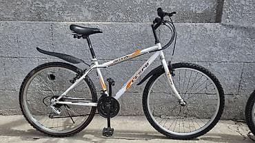 format diski: Горный велосипед, Lespo, Рама L (172 - 185 см), Сталь — 1