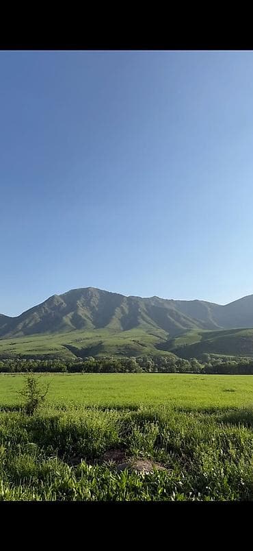 8 соток, Для строительства, Красная книга at lalafo.kg 8 соток, Для строительства, Красная книга