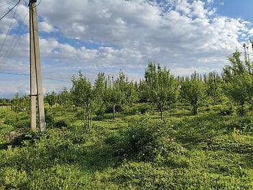 хочу продать: 100 соток, Для бизнеса, Договор купли-продажи — 10