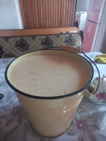 Таза ыштуу Алайкуу кымызы сатылат Бишкекте, ала тургандар кайрыла